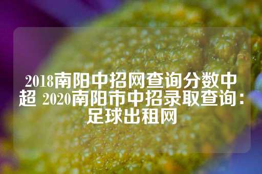 2018南阳中招网查询分数中超 2020南阳市中招录取查询：足球出租网-第1张图片-皇冠信用盘出租