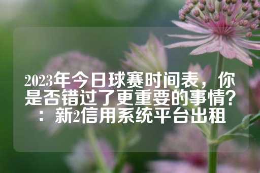 2023年今日球赛时间表，你是否错过了更重要的事情？：新2信用系统平台出租