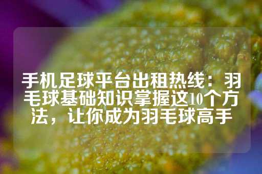 手机足球平台出租热线：羽毛球基础知识掌握这10个方法，让你成为羽毛球高手-第1张图片-皇冠信用盘出租