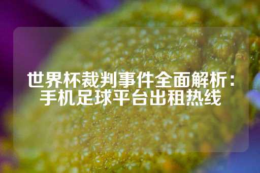 世界杯裁判事件全面解析：手机足球平台出租热线-第1张图片-皇冠信用盘出租