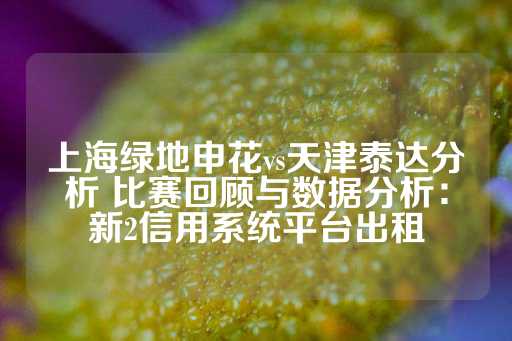 上海绿地申花vs天津泰达分析 比赛回顾与数据分析：新2信用系统平台出租