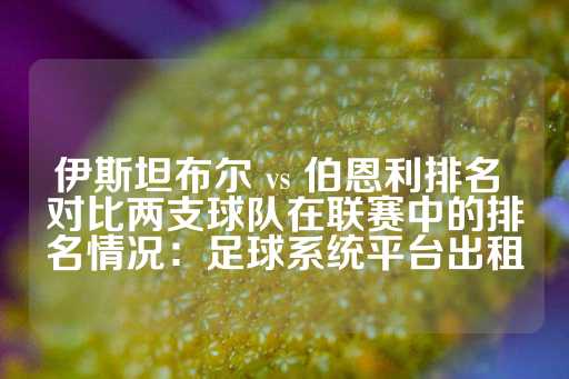 伊斯坦布尔 vs 伯恩利排名 对比两支球队在联赛中的排名情况：足球系统平台出租