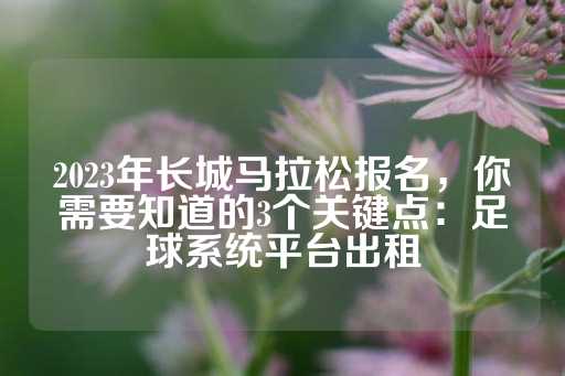 2023年长城马拉松报名，你需要知道的3个关键点：足球系统平台出租