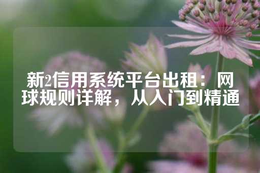 新2信用系统平台出租：网球规则详解，从入门到精通