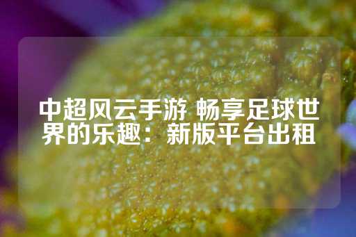 中超风云手游 畅享足球世界的乐趣：新版平台出租