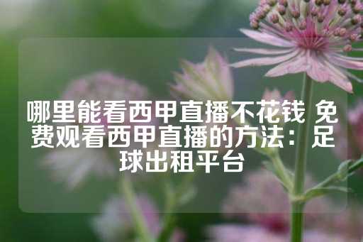 哪里能看西甲直播不花钱 免费观看西甲直播的方法：足球出租平台-第1张图片-皇冠信用盘出租