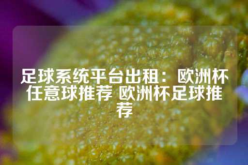 足球系统平台出租：欧洲杯任意球推荐 欧洲杯足球推荐