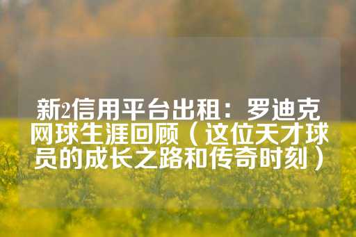 新2信用平台出租：罗迪克网球生涯回顾（这位天才球员的成长之路和传奇时刻）