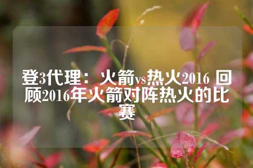 登3代理：火箭vs热火2016 回顾2016年火箭对阵热火的比赛