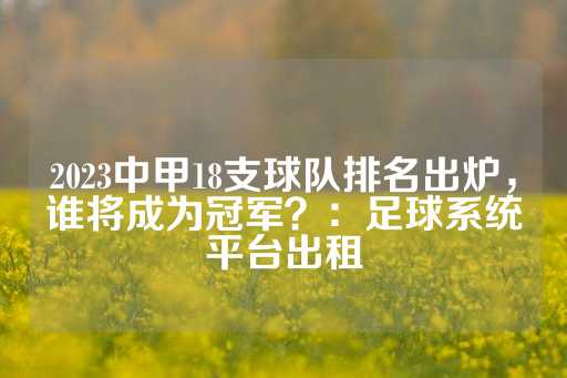 2023中甲18支球队排名出炉，谁将成为冠军？：足球系统平台出租