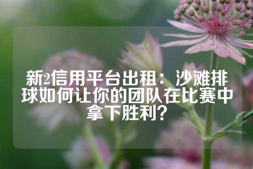 新2信用平台出租：沙滩排球如何让你的团队在比赛中拿下胜利？