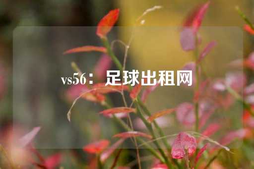 vs56：足球出租网