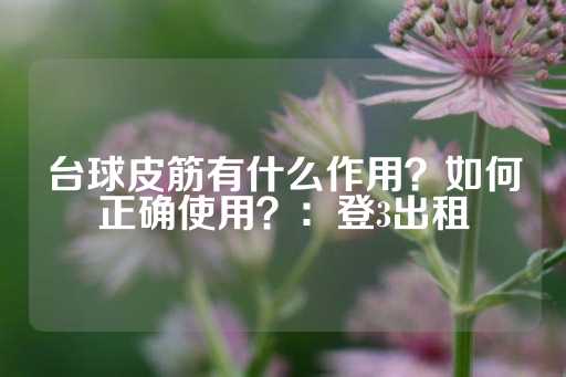 台球皮筋有什么作用？如何正确使用？：登3出租