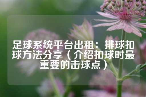 足球系统平台出租：排球扣球方法分享（介绍扣球时最重要的击球点）