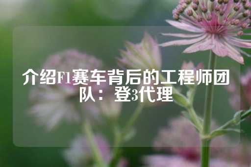 介绍F1赛车背后的工程师团队：登3代理