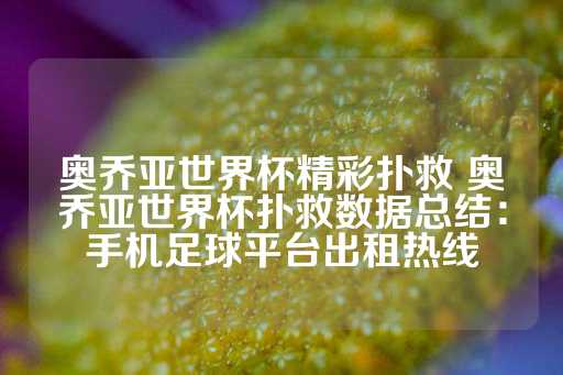 奥乔亚世界杯精彩扑救 奥乔亚世界杯扑救数据总结：手机足球平台出租热线-第1张图片-皇冠信用盘出租