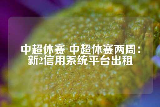 中超休赛 中超休赛两周：新2信用系统平台出租