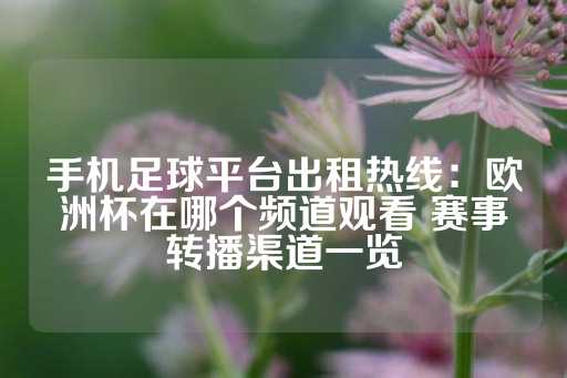 手机足球平台出租热线：欧洲杯在哪个频道观看 赛事转播渠道一览