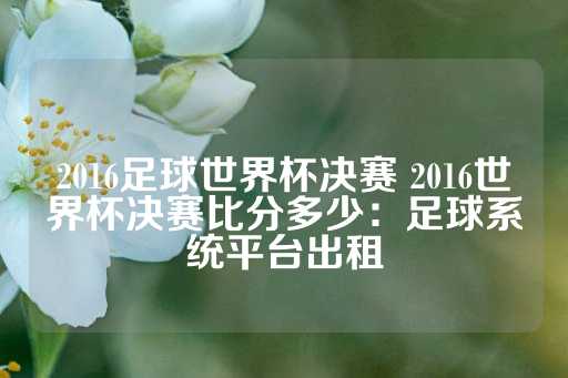 2016足球世界杯决赛 2016世界杯决赛比分多少：足球系统平台出租