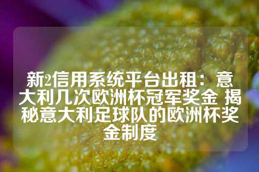 新2信用系统平台出租：意大利几次欧洲杯冠军奖金 揭秘意大利足球队的欧洲杯奖金制度