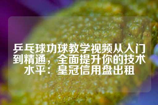 乒乓球功球教学视频从入门到精通，全面提升你的技术水平：皇冠信用盘出租