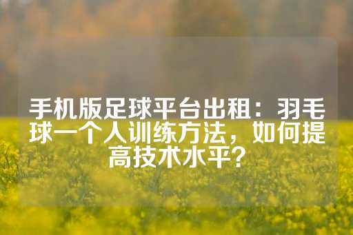 手机版足球平台出租：羽毛球一个人训练方法，如何提高技术水平？