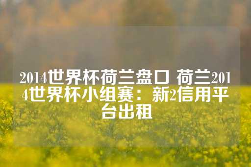 2014世界杯荷兰盘口 荷兰2014世界杯小组赛：新2信用平台出租-第1张图片-皇冠信用盘出租