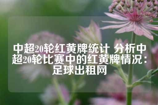 中超20轮红黄牌统计 分析中超20轮比赛中的红黄牌情况：足球出租网