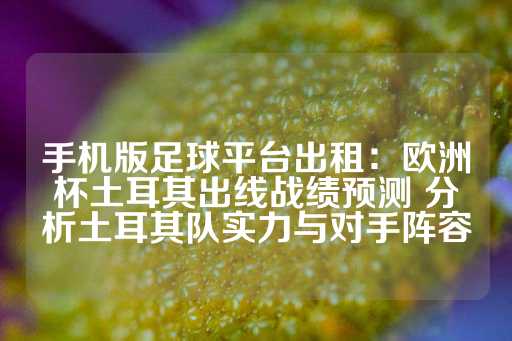 手机版足球平台出租：欧洲杯土耳其出线战绩预测 分析土耳其队实力与对手阵容-第1张图片-皇冠信用盘出租