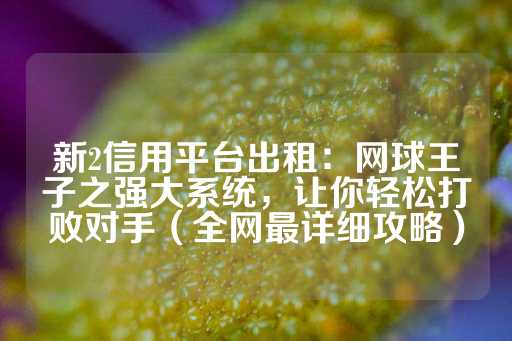 新2信用平台出租：网球王子之强大系统，让你轻松打败对手（全网最详细攻略）