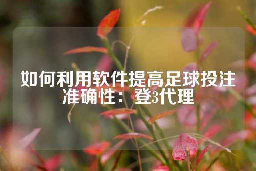 如何利用软件提高足球投注准确性：登3代理