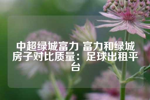 中超绿城富力 富力和绿城房子对比质量：足球出租平台-第1张图片-皇冠信用盘出租