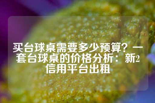 买台球桌需要多少预算？一套台球桌的价格分析：新2信用平台出租