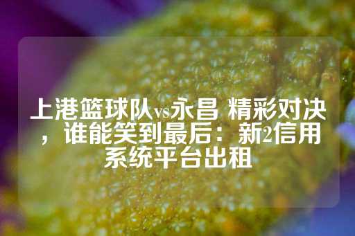 上港篮球队vs永昌 精彩对决，谁能笑到最后：新2信用系统平台出租