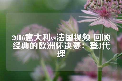 2006意大利vs法国视频 回顾经典的欧洲杯决赛：登3代理-第1张图片-皇冠信用盘出租