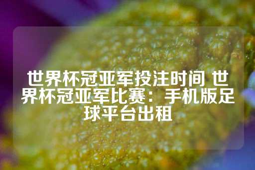 世界杯冠亚军投注时间 世界杯冠亚军比赛：手机版足球平台出租