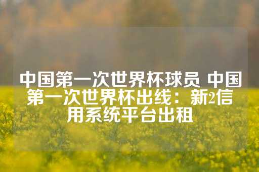 中国第一次世界杯球员 中国第一次世界杯出线：新2信用系统平台出租