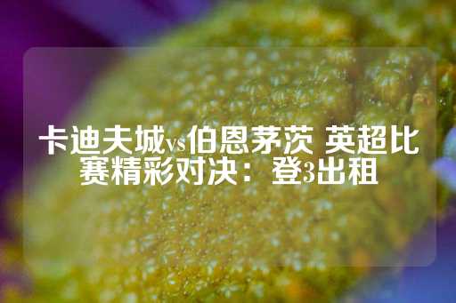 卡迪夫城vs伯恩茅茨 英超比赛精彩对决：登3出租