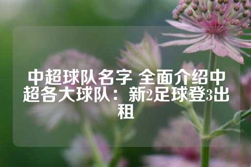 中超球队名字 全面介绍中超各大球队：新2足球登3出租-第1张图片-皇冠信用盘出租