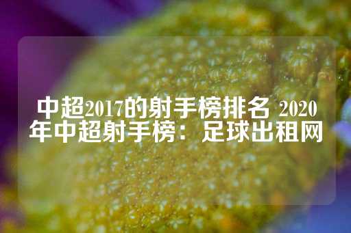 中超2017的射手榜排名 2020年中超射手榜：足球出租网-第1张图片-皇冠信用盘出租