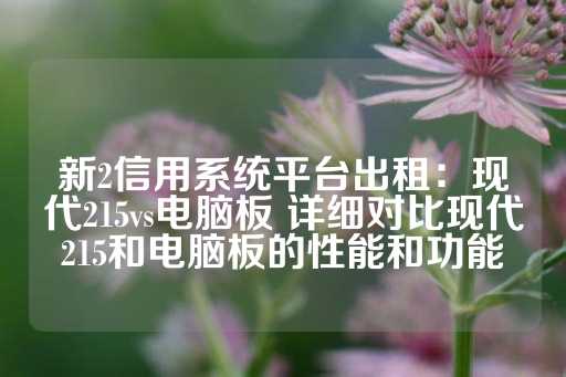 新2信用系统平台出租：现代215vs电脑板 详细对比现代215和电脑板的性能和功能