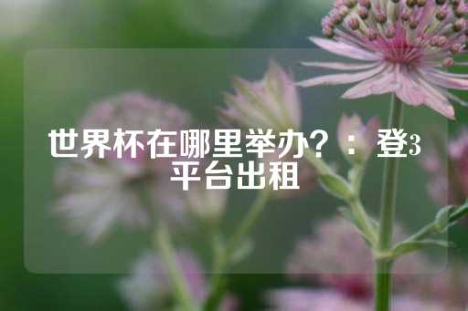 世界杯在哪里举办？：登3平台出租