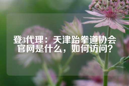 登3代理：天津跆拳道协会官网是什么，如何访问？-第1张图片-皇冠信用盘出租