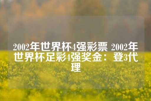 2002年世界杯4强彩票 2002年世界杯足彩4强奖金：登3代理