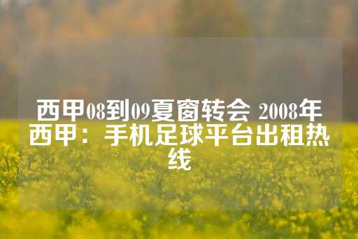 西甲08到09夏窗转会 2008年西甲：手机足球平台出租热线-第1张图片-皇冠信用盘出租