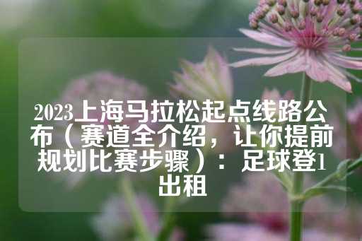 2023上海马拉松起点线路公布（赛道全介绍，让你提前规划比赛步骤）：足球登1出租