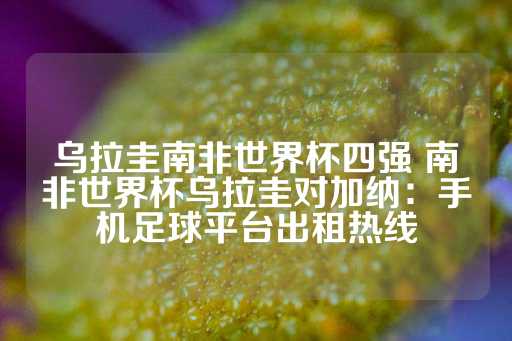 乌拉圭南非世界杯四强 南非世界杯乌拉圭对加纳：手机足球平台出租热线-第1张图片-皇冠信用盘出租