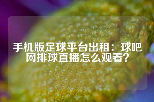 手机版足球平台出租：球吧网排球直播怎么观看？