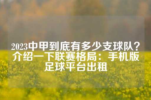 2023中甲到底有多少支球队？介绍一下联赛格局：手机版足球平台出租-第1张图片-皇冠信用盘出租