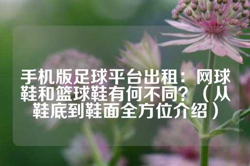 手机版足球平台出租：网球鞋和篮球鞋有何不同？（从鞋底到鞋面全方位介绍）-第1张图片-皇冠信用盘出租